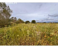 Solar en Venta en Santa Eugenia, Islas Baleares
