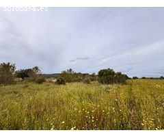 Solar en Venta en Santa Eugenia, Islas Baleares