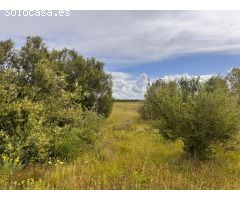Solar en Venta en Santa Eugenia, Islas Baleares