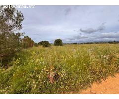Solar en Venta en Santa Eugenia, Islas Baleares