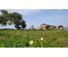 ???? ¡Oportunidad única en Manacor!
