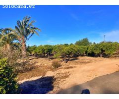 FINCA RUSTICA EN ALTABIX CON AGUA Y LUZ