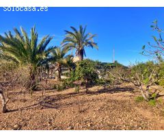 FINCA RUSTICA EN ALTABIX CON AGUA Y LUZ
