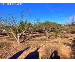 FINCA RUSTICA EN ALTABIX CON AGUA Y LUZ