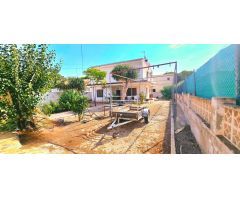 Planta baja en Venta en Guardamar del Segura, Alicante