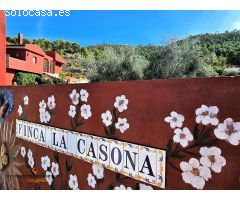 Villa en Venta en Pinoso, Alicante
