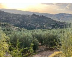 Paraje de los castillos - Restabal