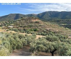 Paraje de los castillos - Restabal