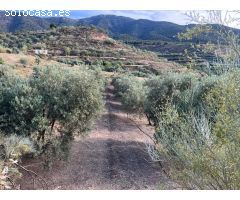 Paraje de los castillos - Restabal