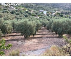 Paraje de los castillos - Restabal