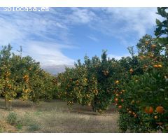 Finca Rustica valle de lecrín (Restabal)