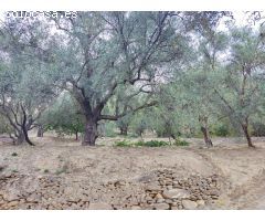 Descubre un Paraíso Natural en Esta Encantadora Finca con Vistas al Pantano de Beznar
