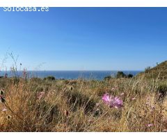 PRECIOSA PARCELA SEGREGABLE CON VISTAS DESPEJADAS AL MAR: