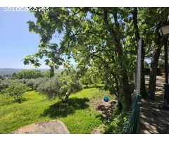 SE VENDE VILLA DE 18.000M2 CON DOS CHALETS.