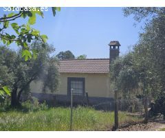 SE VENDE VILLA DE 18.000M2 CON DOS CHALETS.