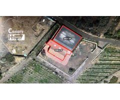 Finca de viñedos con casa en venta en Guia de Isora Tenerife