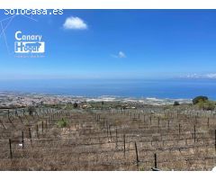 Finca de viñedos con casa en venta en Guia de Isora Tenerife