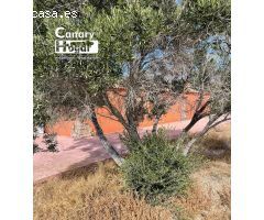 Finca de viñedos con casa en venta en Guia de Isora Tenerife