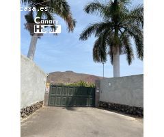 finca platanera en venta  de platanos ecológicos Guaza Arona