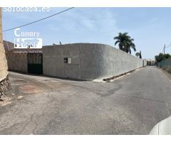 finca platanera en venta  de platanos ecológicos Guaza Arona