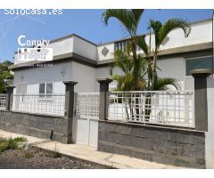 finca platanera en venta  de platanos ecológicos Guaza Arona