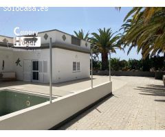 finca platanera en venta  de platanos ecológicos Guaza Arona
