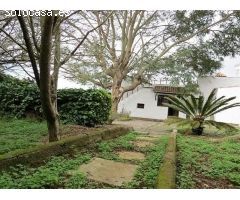 Chalet en Venta en Tegueste, Santa Cruz de Tenerife