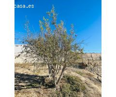 Casa de Pueblo en Venta en Mazaricos, Santa Cruz de Tenerife