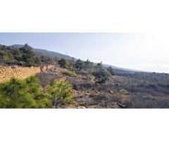Finca rustica en Venta en Mazaricos, Santa Cruz de Tenerife