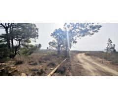 Finca rustica en Venta en Mazaricos, Santa Cruz de Tenerife