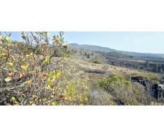 Finca rustica en Venta en Mazaricos, Santa Cruz de Tenerife