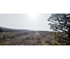Finca rustica en Venta en Mazaricos, Santa Cruz de Tenerife