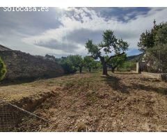 SOLAR 501 m2 en XERT