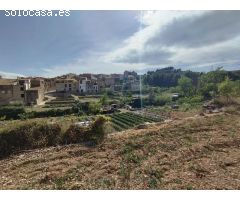 SOLAR 501 m2 en XERT