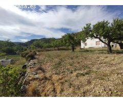 SOLAR 501 m2 en XERT