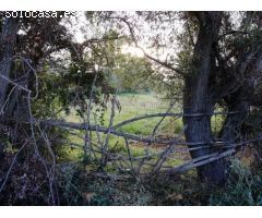 Terreno Urbano en León: Conexión entre Naturaleza y Proximidad Urbana