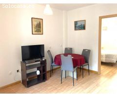 Apartamento reformado de una habitación en Navatejera