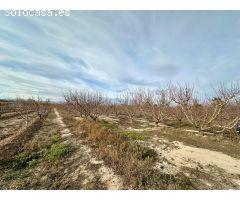 FINCA RUSTICA EN EL GINETE