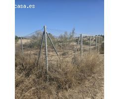 TERRENO RÚSTICO EN MOLINA DE SEGURA