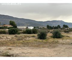 PARCELA URBANA DE 8.000M SIN SECTORIZAR