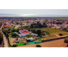 CASA CON PISCINA EN LA MARINA DE ELCHE (ALICANTE)