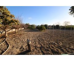 Terreno con casa en plena huerta de Murcia – Era Alta