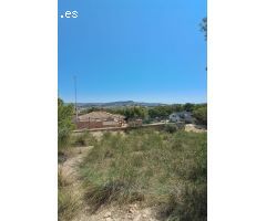 Magnífica Parcela en la Pinada .