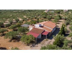 Finca rústica en L Ampolla