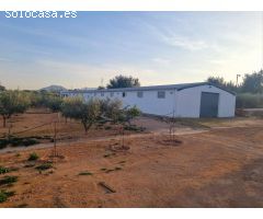 FINCA RUSTICA EN VENTA