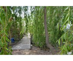 Finca rustica en Venta en Deltebre, Tarragona