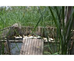 Finca rustica en Venta en Deltebre, Tarragona