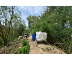 Finca rustica en Venta en Deltebre, Tarragona