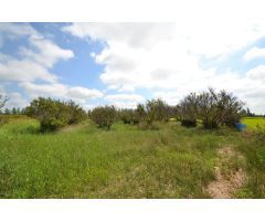 Finca rustica en Venta en Sant Jaume dEnveja, Tarragona
