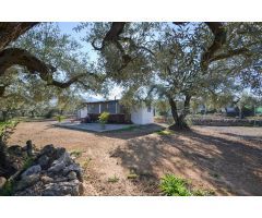 Finca Rústica en Venta en Freginals